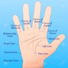 Palmistry Solution